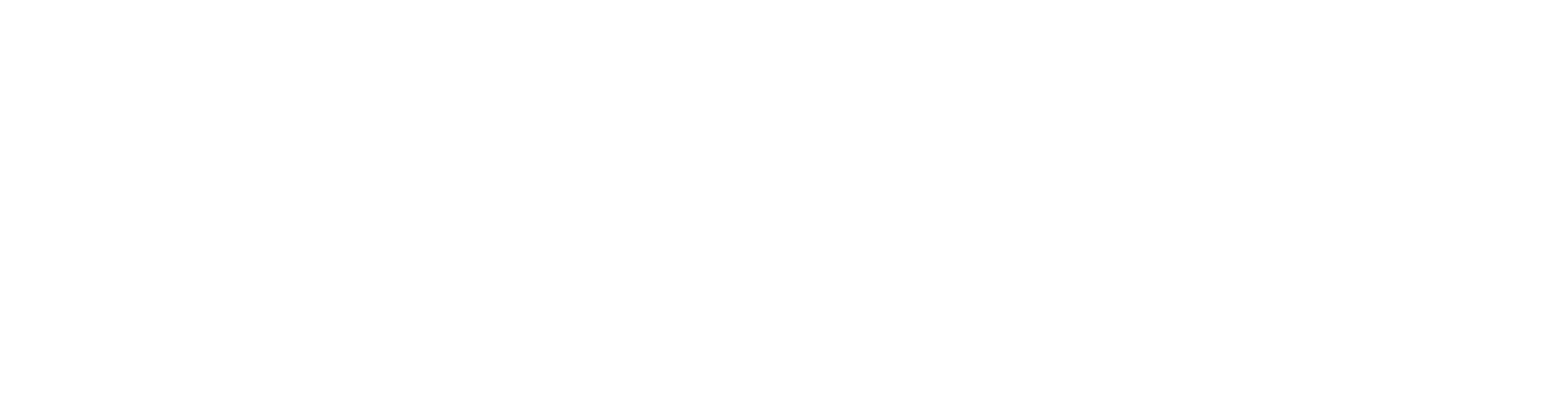 Pearland Texas Convention & Visitors Bureau Logo