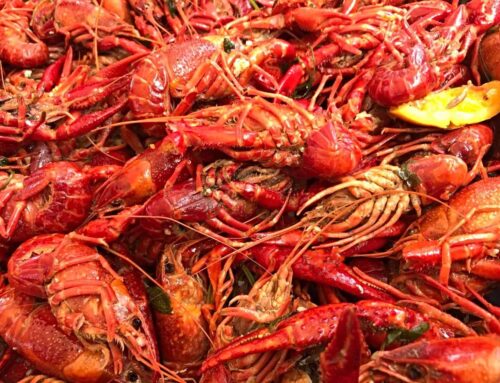 Where to Get Crawfish in Pearland This Season