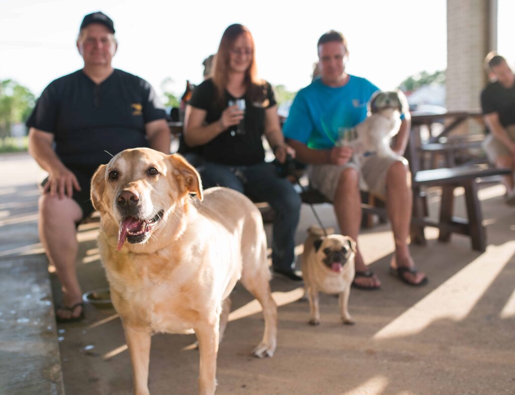 Pearland Patio BAKFISH Dog Friendly