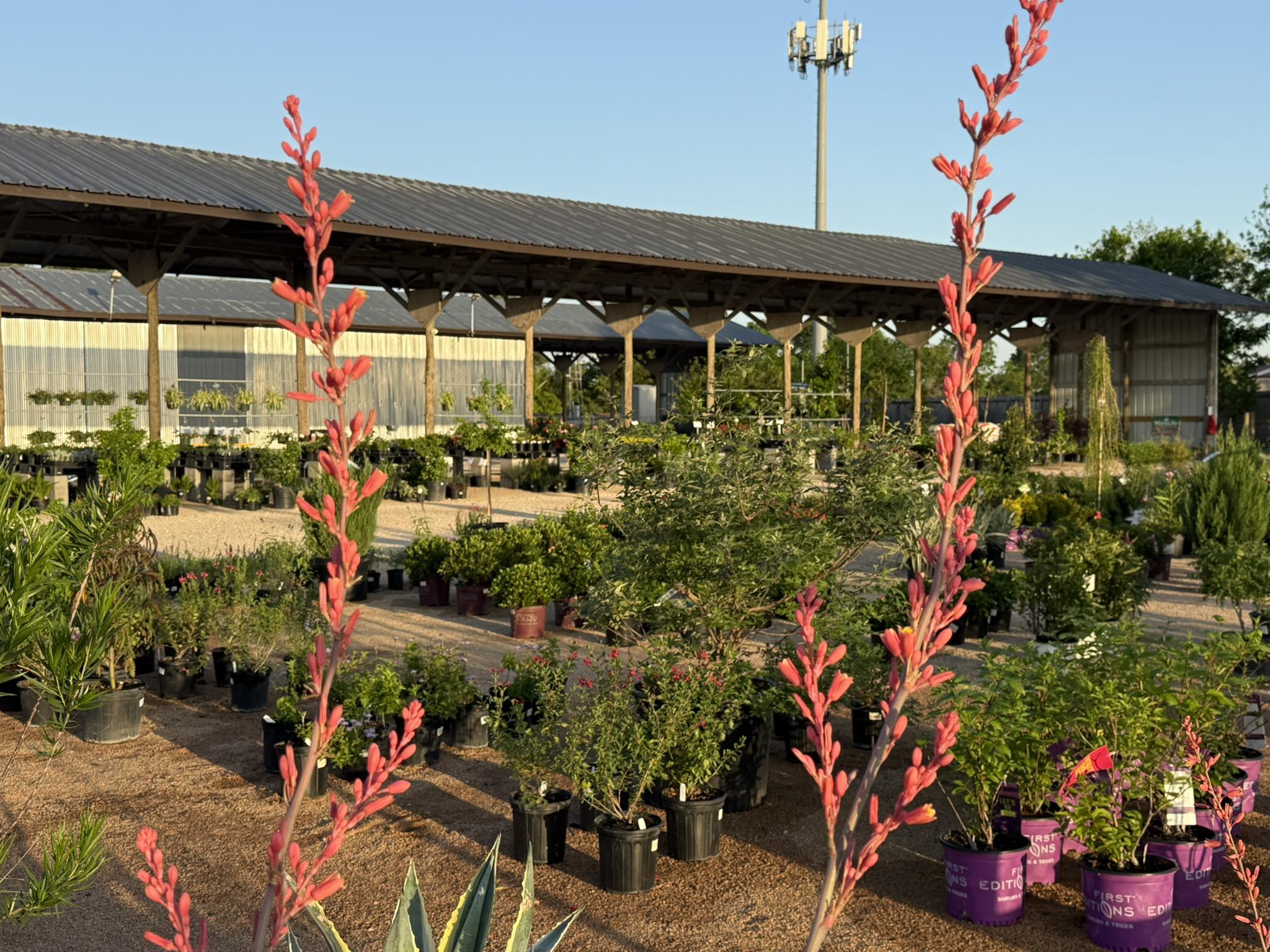 Old Town Nursery